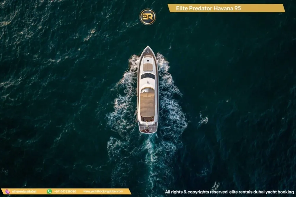 Elite Predator Havana 95 Yacht - Thumbnail 3