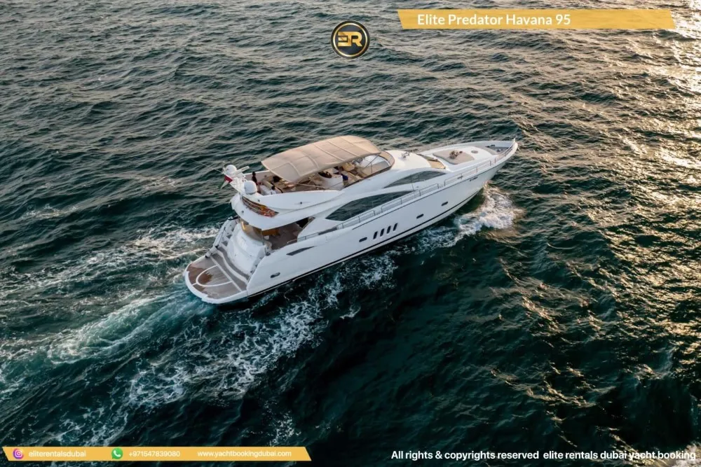 Elite Predator Havana 95 Yacht - Thumbnail 4