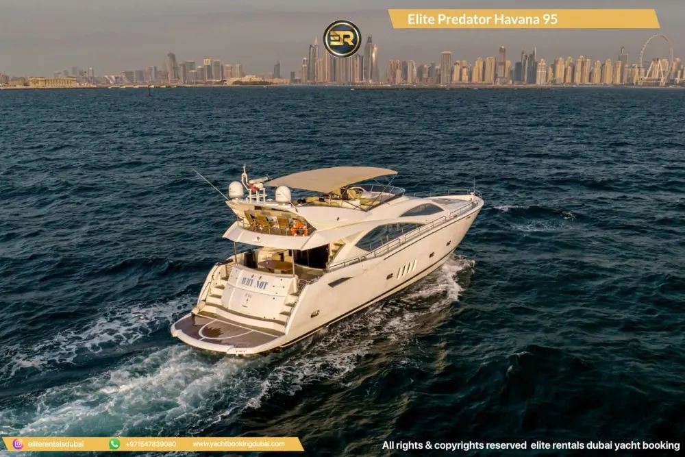 Elite Predator Havana 95 Yacht - Thumbnail 5