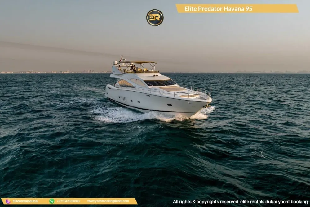 Elite Predator Havana 95 Yacht - Thumbnail 10